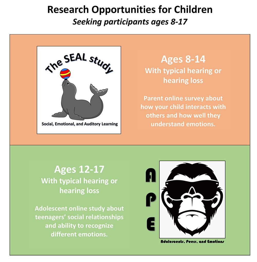 Seal and Ape Study Flyer