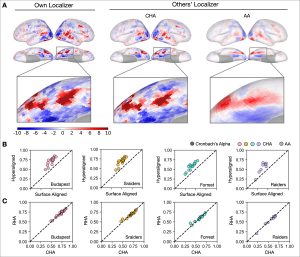 Understanding the Neural Basis of High-Level Cognitive Functions