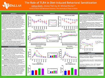 The Role of TLR4 in Diet-Induced Behavioral Sensitization