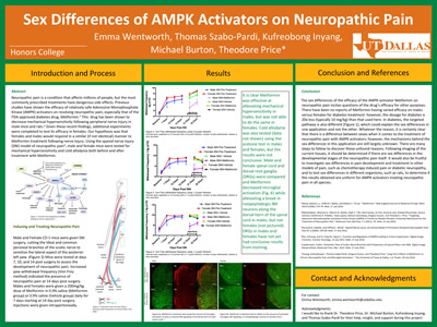 Sex Differences of AMPK Activators on Neuropathic Pain