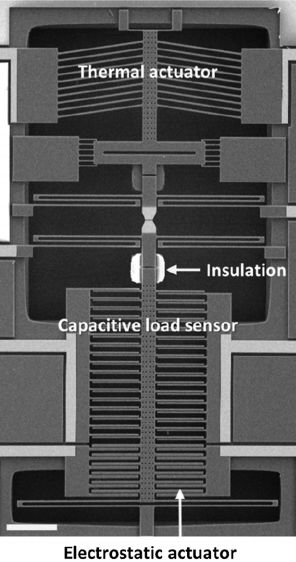 Thermal actuator, insulation, capacitive load sensor, electrostatic actuator