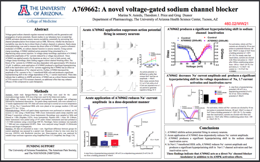 A769662: A novel voltage-gated sodium channel blocker