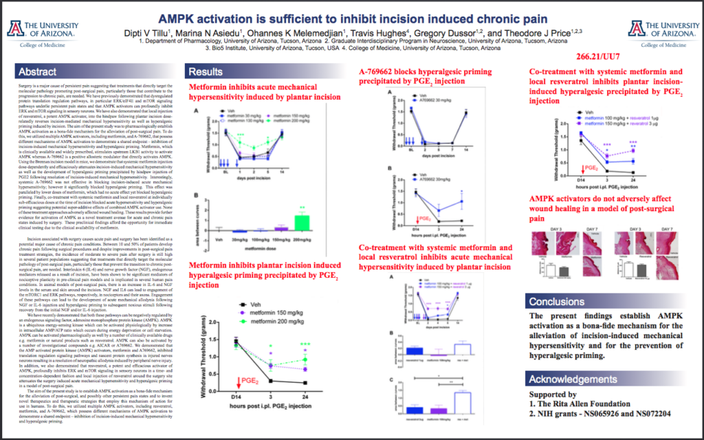 AMPK activation is sufficient to inhibit incision induced chronic pain