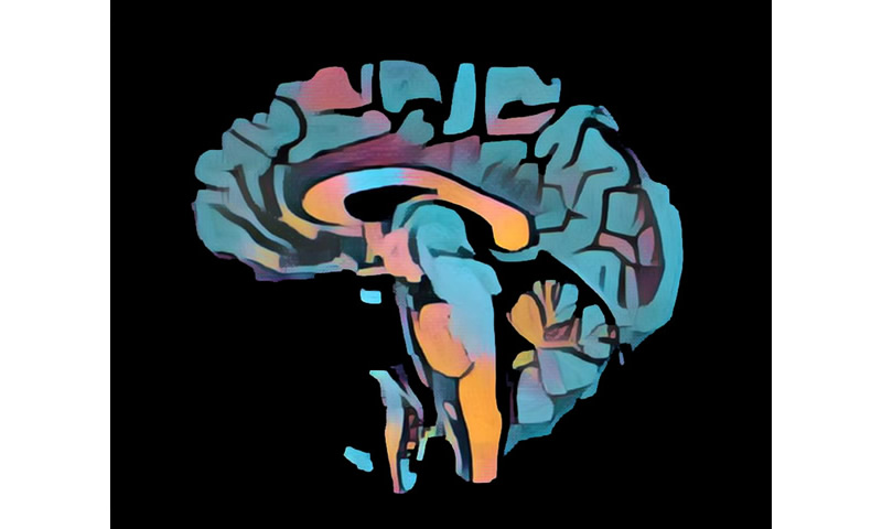 Participate page image of brain
