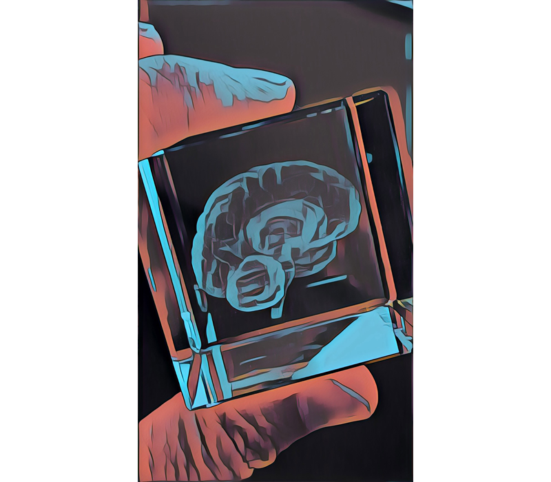 Recovery from TBI page image of fingers holding brain object
